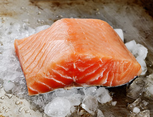 salmon fillet on ice
