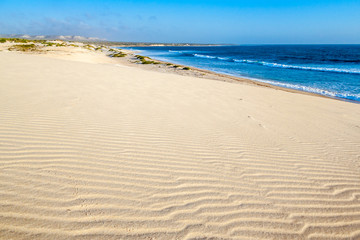 Sand dune and wild beach