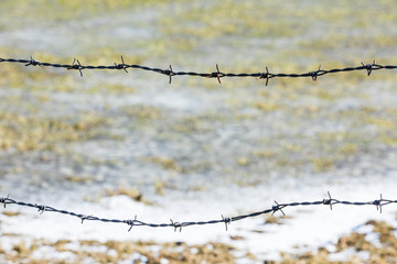barbed wire marsh landscape