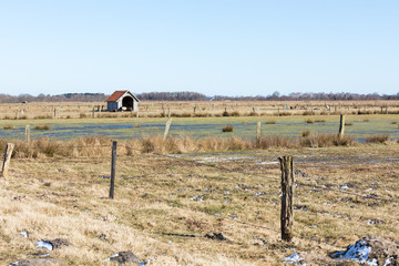 fence in marsh landscape