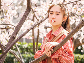 Outdoor portrait of beautiful young Chinese girl in red shirt posing among blossom cherry tree...