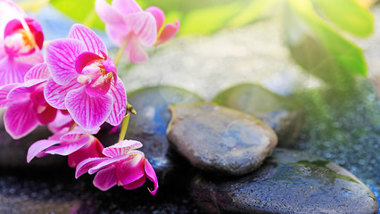 Black spa stones and pink orchid flowers .