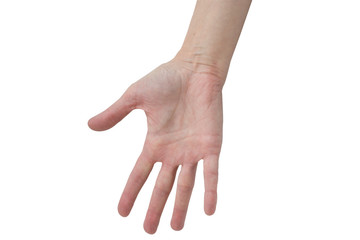 Hand of woman on an isolated white background