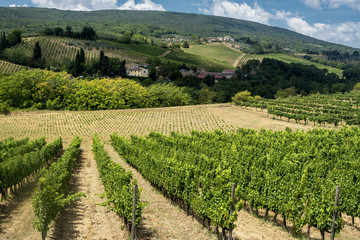 Fototapeta na wymiar Landscape near San Gimignano (Tuscany)