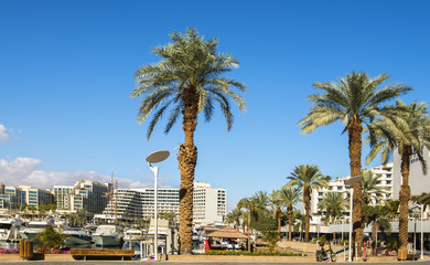 Central marine and promenade with pleasure boats, surrounding hotels, market and shopping places in Eilat - famous resort and recreational city in Israel and Middle East