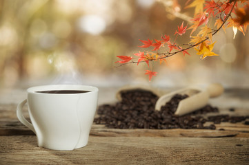 Coffee cup and maple leaves in autumn season.