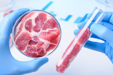 Raw meat in scientist hands. Meat in laboratory test tube and in lab Petri dish, cultured clean laboratory meat concept.