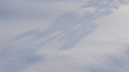 The texture of the snow in the sun.