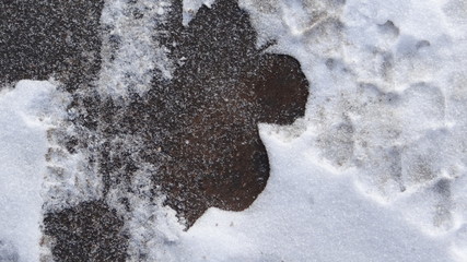The texture of the asphalt and snow.