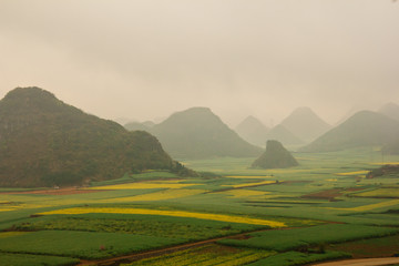 Fog over rapeseed fields in China, Yunnan