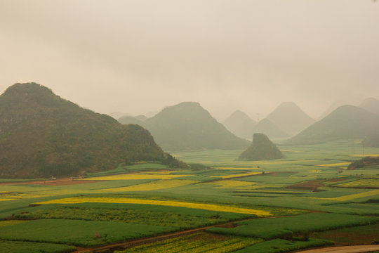Fog over rapeseed fields in China, Yunnan © okonato