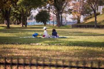 公園でピクニック
