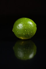 Branch with the ripening wet lemon on a black background