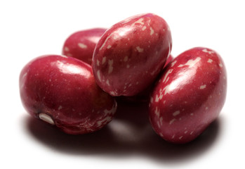 Phaseolus vulgaris Լոբի Frijol Fagiolo Fasola Gewone boon zwykła Haricot Bean Gartenbohne فاصولياء شائعة