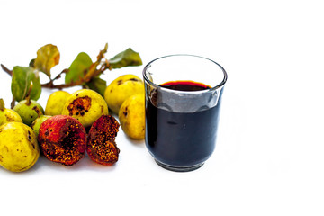 Close up of fresh leaves of Gular,Golar or Clustar Fig tree or Indian Fig tree fruit isolated on a white surface with various benefits and its beneficial extract.