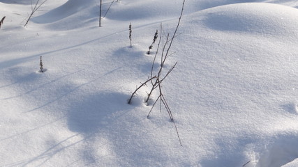 Fototapeta na wymiar The texture of the snow and shadows.