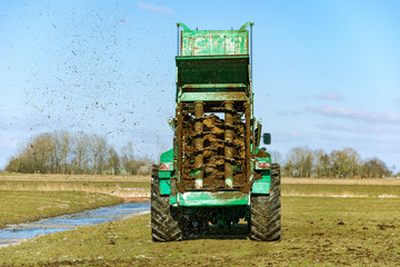 Tractor with manure spreader on the field - 1284