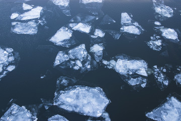 ice floating on the water