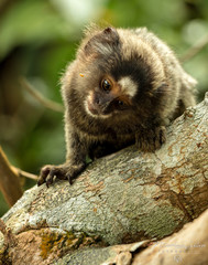 A natureza nos proporciona ótimas imagens. 