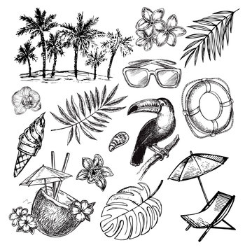 Hand drawn sketch illustration summer elements on a white background