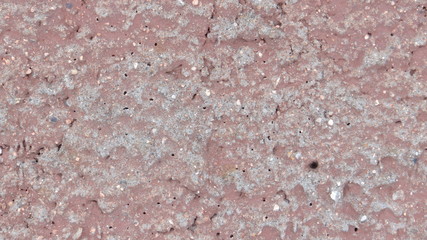 The texture of the painted surface.