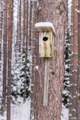 Snowy bird house on a pine tree. Wooden aviary of timber. Nest box in the forest, natural winter background pattern