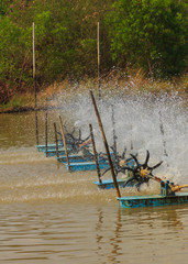 Aerator