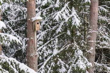 Snowy bird house on a pine tree. Wooden aviary of timber. Nest box in the forest, natural winter background pattern