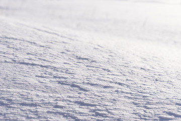 Obraz premium White snow and blue shadows, natural background