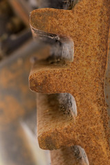 Abandoned water mill gear. Rusty iron wheel with teeth natural background