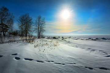 A winter sunset. Western Siberia, Russia