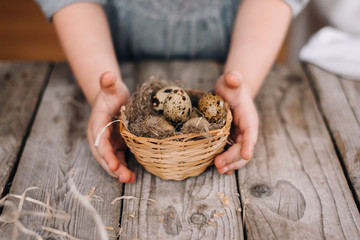 Hands of a child guard nest with small eggs. Care for nature. concept photo 