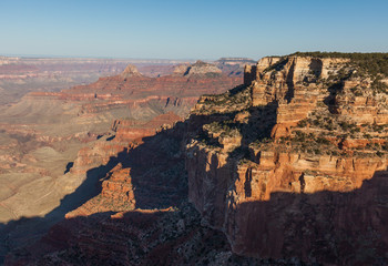 Scenic Grand Canyon North Rim Landscape
