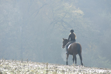 Obraz premium Frau auf Pferd auf Feld