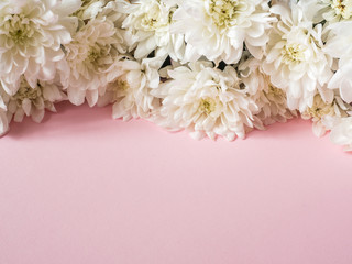 Bouquet of multicolored chrysanthemums on a pink background Place for text