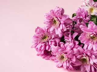 Bouquet of multicolored chrysanthemums on a pink background Place for text