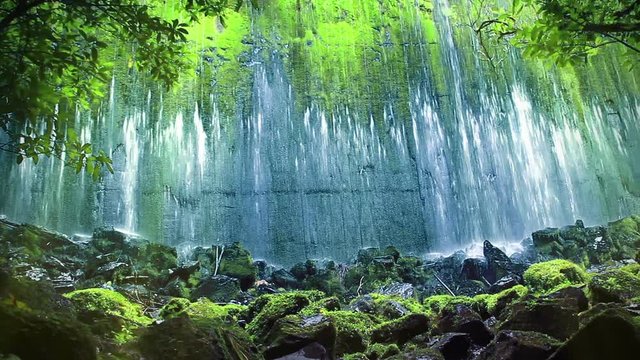 A Wall Of Water Flows From An Old Mossy Historic Disused Water Reservoir Dam, Viewed Through A Sunlit Forest. Beautiful Nature Waterfall Scene. Location: Birchville Dam, Upper Hutt, New Zealand. 