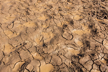 Dry soil due to water shortage