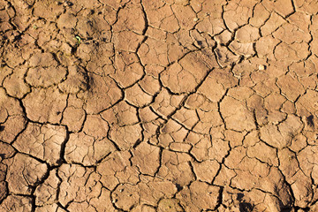 Dry soil due to water shortage