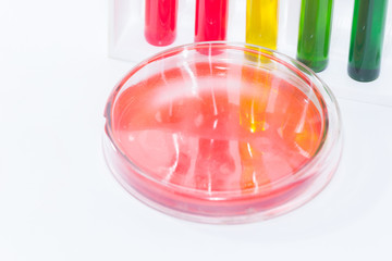 red liquid in petri dish and colorful liquid in tube