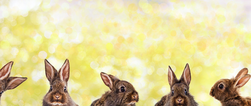 Frohe Ostern