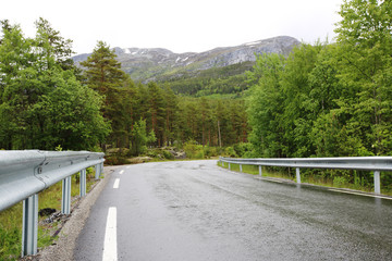 Road at rainy weather