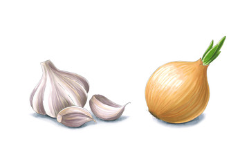 Garlic and onion on a white background. Sketch done in alcohol markers