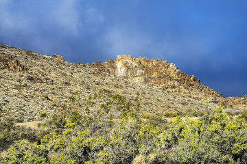 Spring Day at Joshua Tree National Park