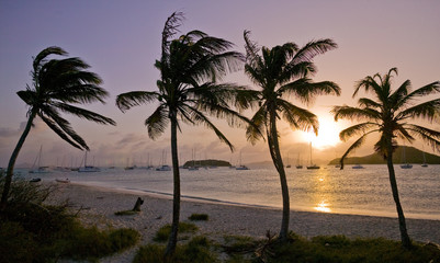 Segelyachten vor Anker in den  Grenadines, Westindische Inseln