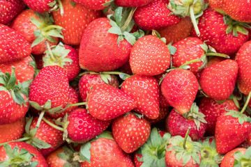 freshly ripe strawberries background