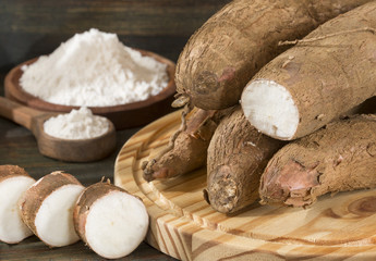 Cassava starch - Manihot esculenta