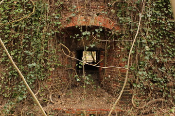 Lost Place - Eingang in Ruine