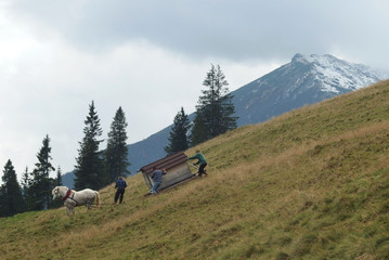 Tatry Wysokie, Polska - Rusinowa Polana, górale z koniem zsuwają drewniany domek po zboczu © Iwona