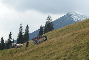 Tatry Wysokie, Polska - Rusinowa Polana, górale z koniem zsuwają drewniany domek po zboczu